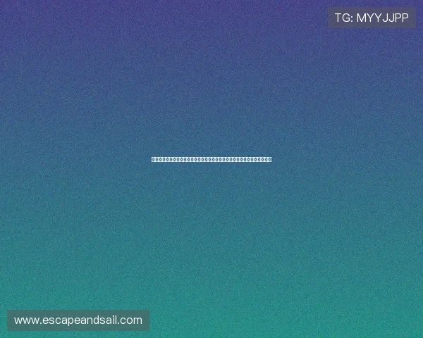 亚星娱乐足球官网提供的实时比分更新与赛事数据分析帮助用户掌握比赛动态
