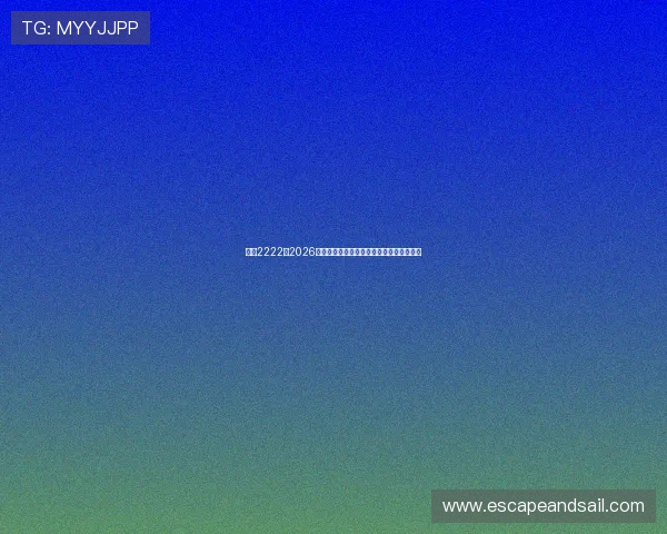 亚星2222：2026年世界杯观众购票指南与现场观赛注意事项