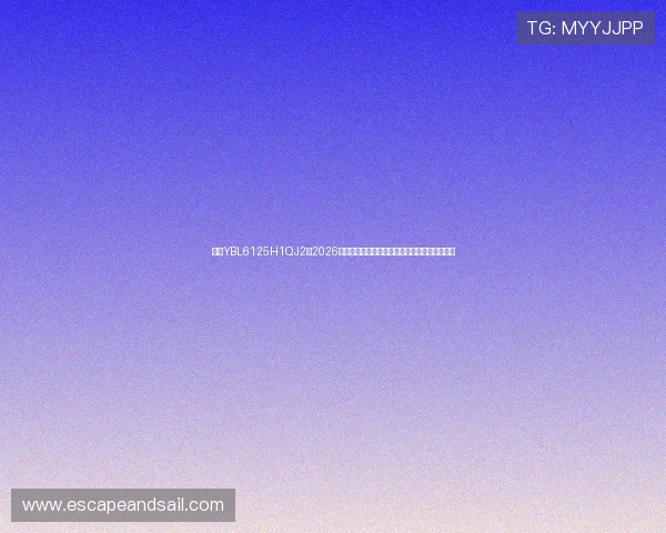 亚星YBL6125H1QJ2在2026年世界杯现场转播中的应用案例与技术优势介绍